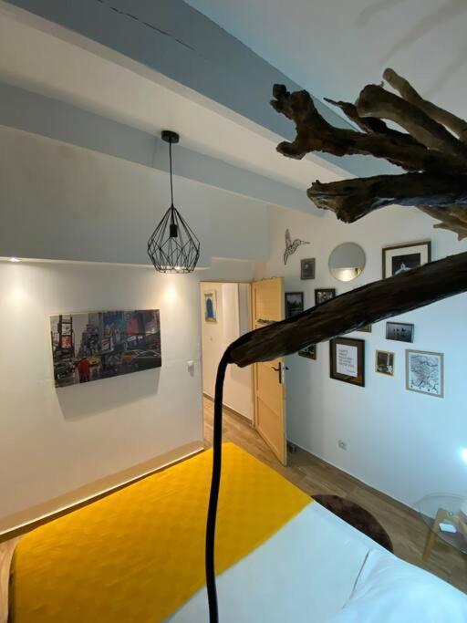 Charmante Maison Avec Exterieur A Deux Pas Des Remparts エーグ・モルト エクステリア 写真
